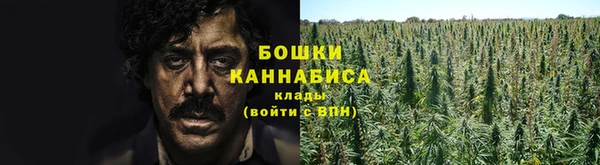 ПСИЛОЦИБИНОВЫЕ ГРИБЫ Абдулино