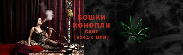 ПСИЛОЦИБИНОВЫЕ ГРИБЫ Абдулино