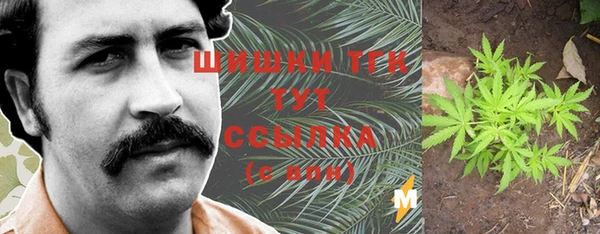 ПСИЛОЦИБИНОВЫЕ ГРИБЫ Абдулино