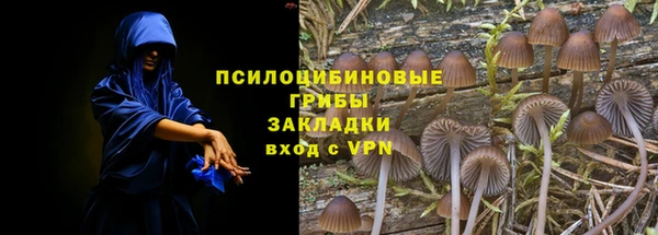 ПСИЛОЦИБИНОВЫЕ ГРИБЫ Абдулино
