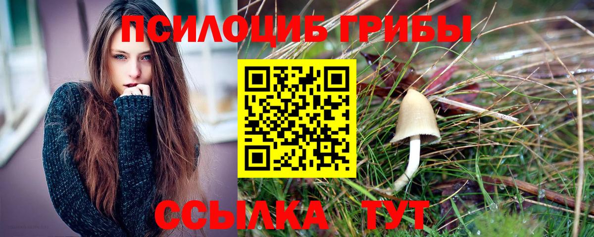 Галлюциногенные грибы Magic Shrooms  Вход с VPN  даркнет сайт  Курск 