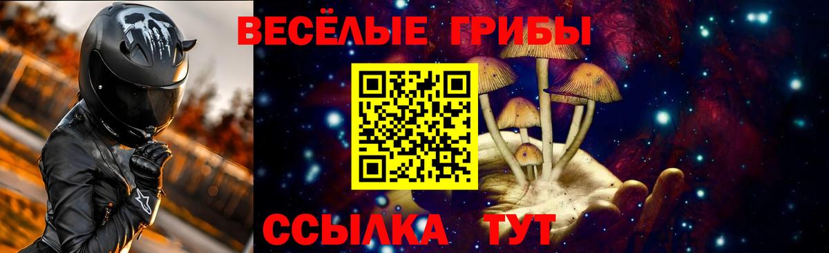 Псилоцибиновые грибы Magic Shrooms Курск